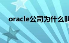 oracle公司为什么叫甲骨文 oracle公司 