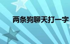 两条狗聊天打一字 两狗谈天打一个字 