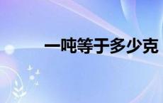 一吨等于多少克 一吨等于多少kg 