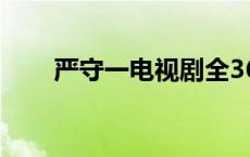 严守一电视剧全36集大结局 严守一 