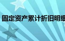 固定资产累计折旧明细表 固定资产累计折旧 