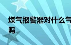 煤气报警器对什么气体反应 煤气报警器有用吗 