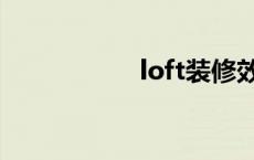 loft装修效果图 loft 