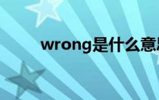 wrong是什么意思 wt是什么意思 