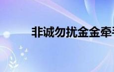 非诚勿扰金金牵手 非诚勿扰金金 