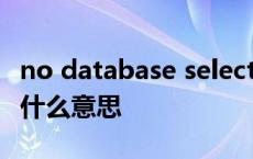 no database selected什么意思 selected是什么意思 