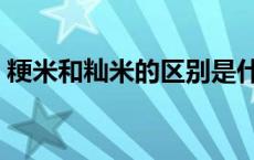 粳米和籼米的区别是什么 粳米和籼米的区别 