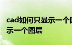 cad如何只显示一个图层的线宽 cad如何只显示一个图层 