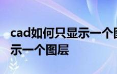 cad如何只显示一个图层的线宽 cad如何只显示一个图层 