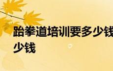 跆拳道培训要多少钱一个月 跆拳道培训要多少钱 