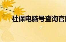 社保电脑号查询官网 社保电脑号查询 