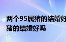 两个95属猪的结婚好吗婚姻相冲吗 两个95属猪的结婚好吗 