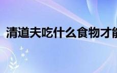 清道夫吃什么食物才能养活? 清道夫吃什么 