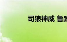 司狼神威 鲁路修 司狼神威 