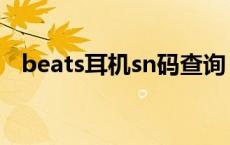 beats耳机sn码查询 beatssn码查询网址 