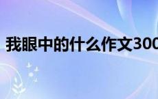 我眼中的什么作文300字 我眼中的什么作文 