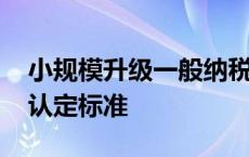 小规模升级一般纳税人认定标准 一般纳税人认定标准 