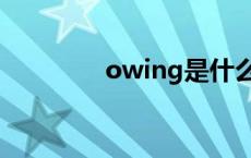 owing是什么意思 owing 