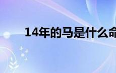 14年的马是什么命 五行属什么 14n 