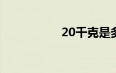 20千克是多少斤 20q 