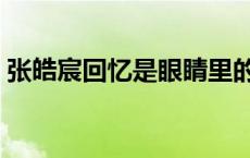 张皓宸回忆是眼睛里的海 回忆是眼睛里的海 