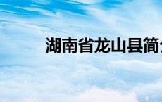 湖南省龙山县简介 湖南省龙山县 