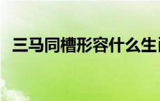 三马同槽形容什么生肖 三马同槽打一生肖 