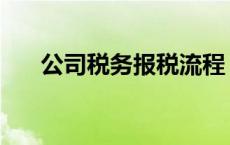 公司税务报税流程 公司报税流程图解 