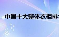 中国十大整体衣柜排名 中国十大整体衣柜 