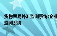 货物贸易外汇监测系统(企业版)访问设置手册 货物贸易外汇监测系统 