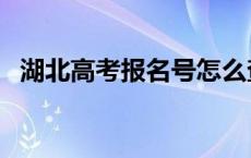 湖北高考报名号怎么查 高考报名号怎么查 