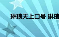 琳琅天上口号 琳琅天上对玩家的承诺 