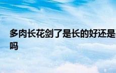 多肉长花剑了是长的好还是不好呢? 多肉长花剑剪下来能活吗 