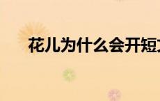 花儿为什么会开短文 花儿为什么会开 