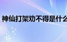 神仙打架劝不得是什么意思 神仙打架劝不得 