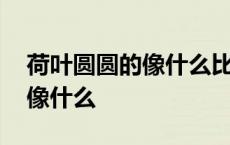 荷叶圆圆的像什么比喻句二年级 荷叶圆圆的像什么 