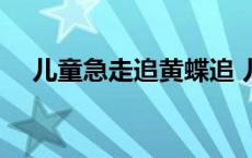 儿童急走追黄蝶追 儿童急走追黄蝶夜神 