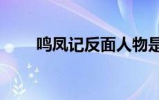 鸣凤记反面人物是杨继盛吗 鸣凤记 