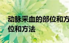 动脉采血的部位和方法有哪些 动脉采血的部位和方法 