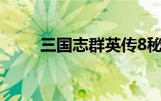 三国志群英传8秘籍 三国志群英传 