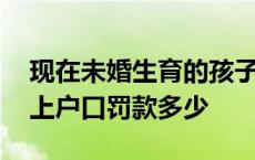 现在未婚生育的孩子上户口罚钱嘛 未婚生子上户口罚款多少 