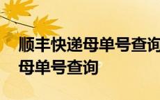 顺丰快递母单号查询跟踪单号查询 顺丰快递母单号查询 