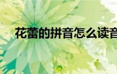 花蕾的拼音怎么读音写出来 花蕾的拼音 