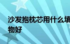 沙发抱枕芯用什么填充物好 枕芯用什么填充物好 