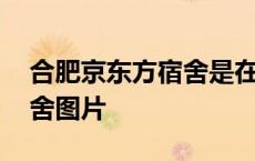 合肥京东方宿舍是在厂区里吗 合肥京东方宿舍图片 