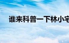 谁来科普一下林小宅啊 林小宅个人资料 