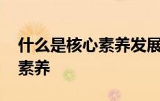 什么是核心素养发展的关键要素 什么是核心素养 