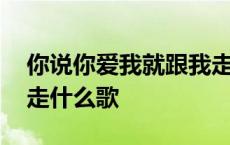 你说你爱我就跟我走什么歌 你说爱我就跟我走什么歌 