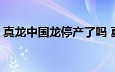 真龙中国龙停产了吗 真龙中国龙多少钱一包 