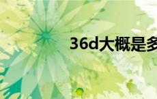 36d大概是多少大 36d大 